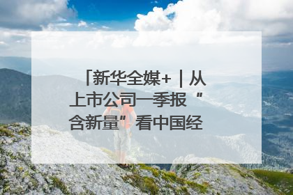 新华全媒+｜从上市公司一季报“含新量”看中国经济发展向“新”